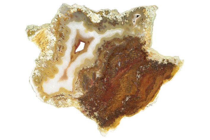 Polished White Rock Springs Agate Slab - Oregon #184774